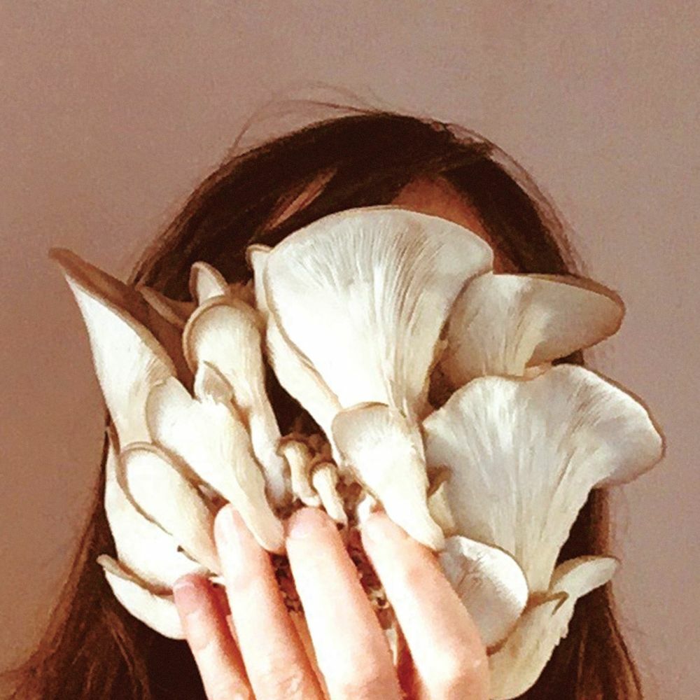 My-co-listening creates a moment for us to encounter and develop our sense of kinship towards our fungal communities and wider ecologies.