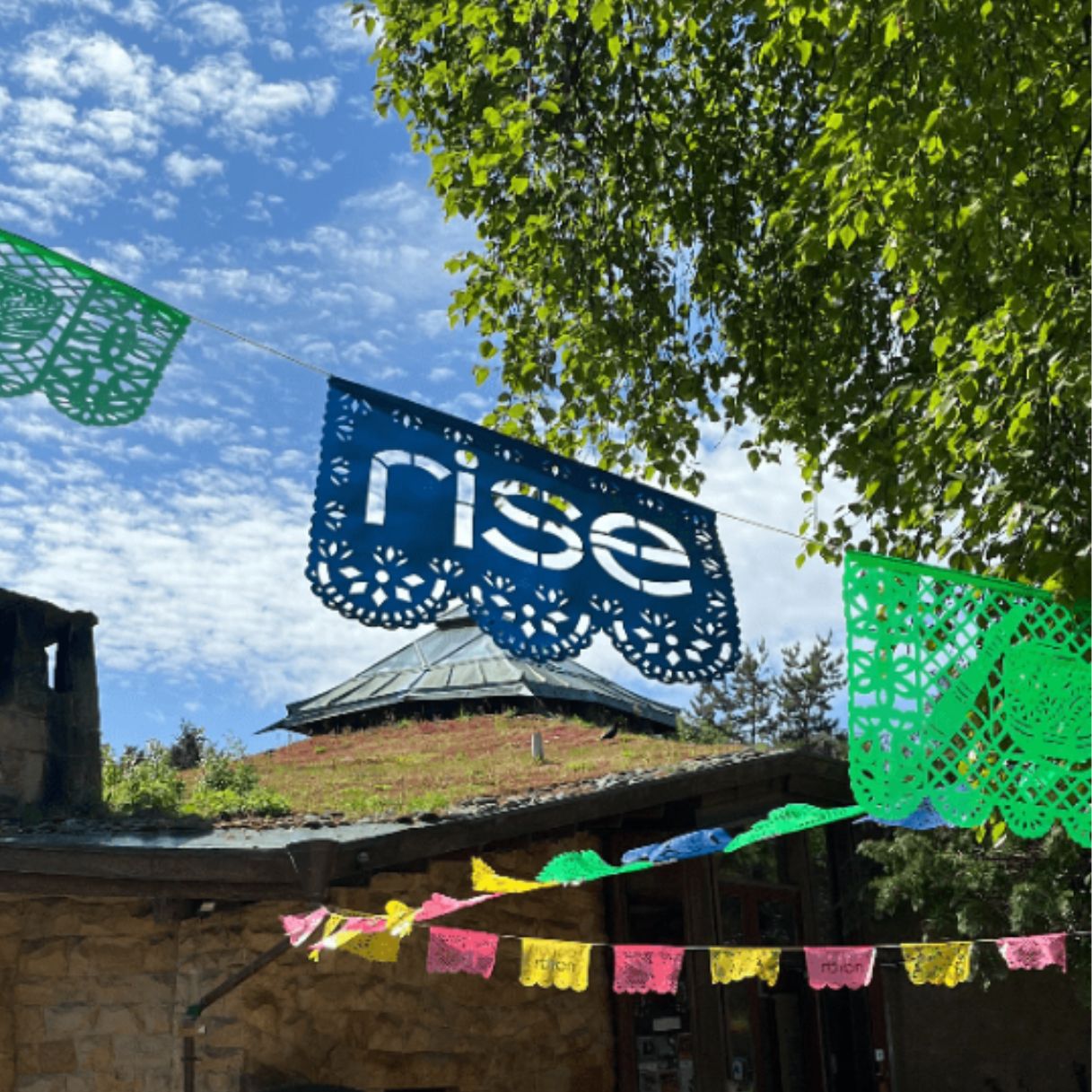 DO Rise 2024 Rise Festival Party with DJ Deborah Lewin Dance North