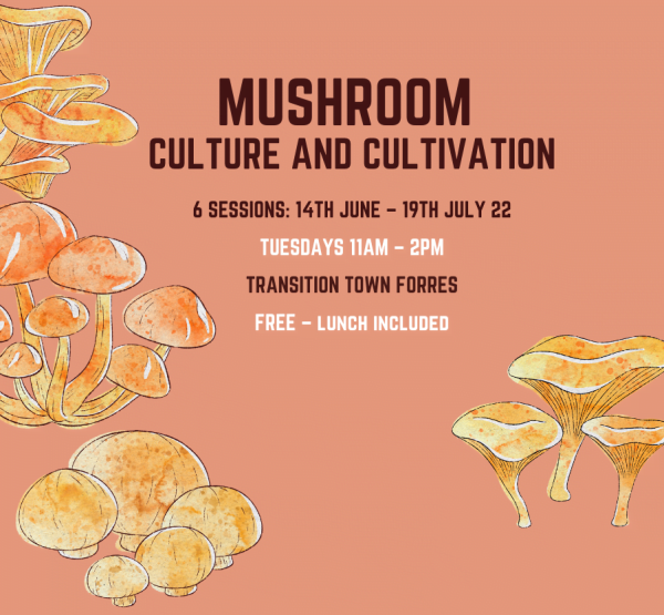 DO: Mushroom Culture and Cultivation