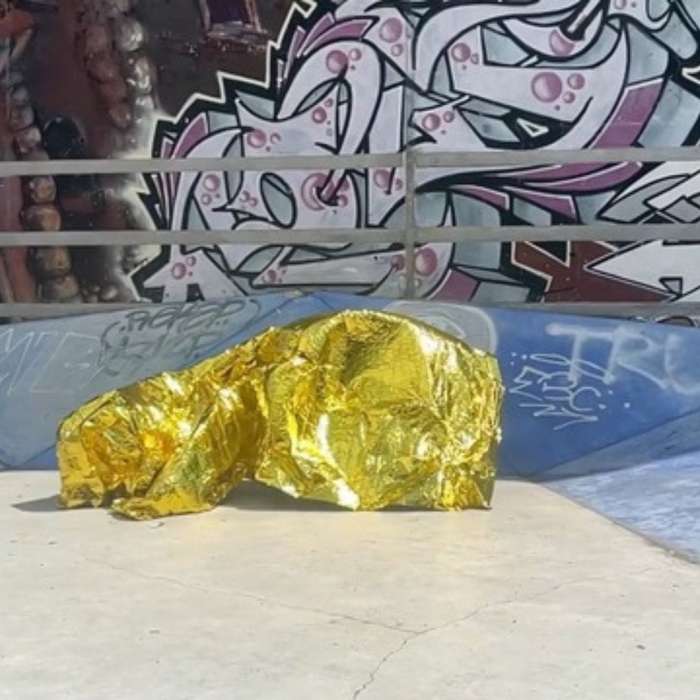 DO: Regional Artist Network biannual gathering 19 Nov 2025